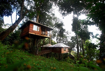 treehouse